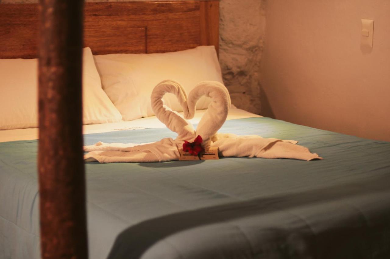 Guest house Cochito